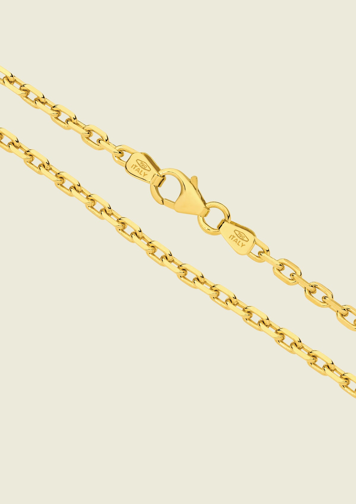 Diamond Cut Anchor Chain (9k & 18k Yellow / Rose / White Gold)